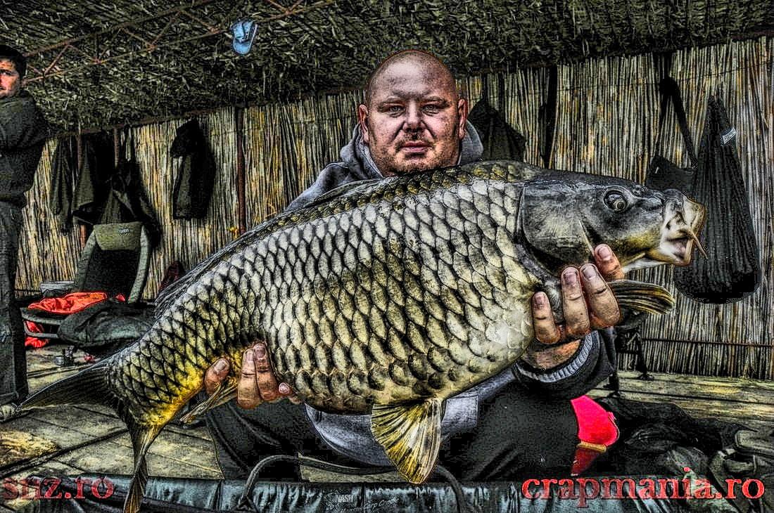 Crapmania (3) - 2013 - 1011382hdrmode2.JPG